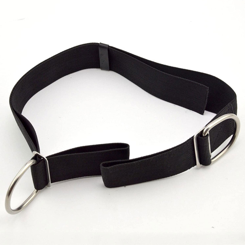 Sangle d'entrejambe de plongée - Universal Tech Accessories avis et prix